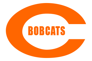 Celina Bobcats large